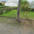 DSC01554